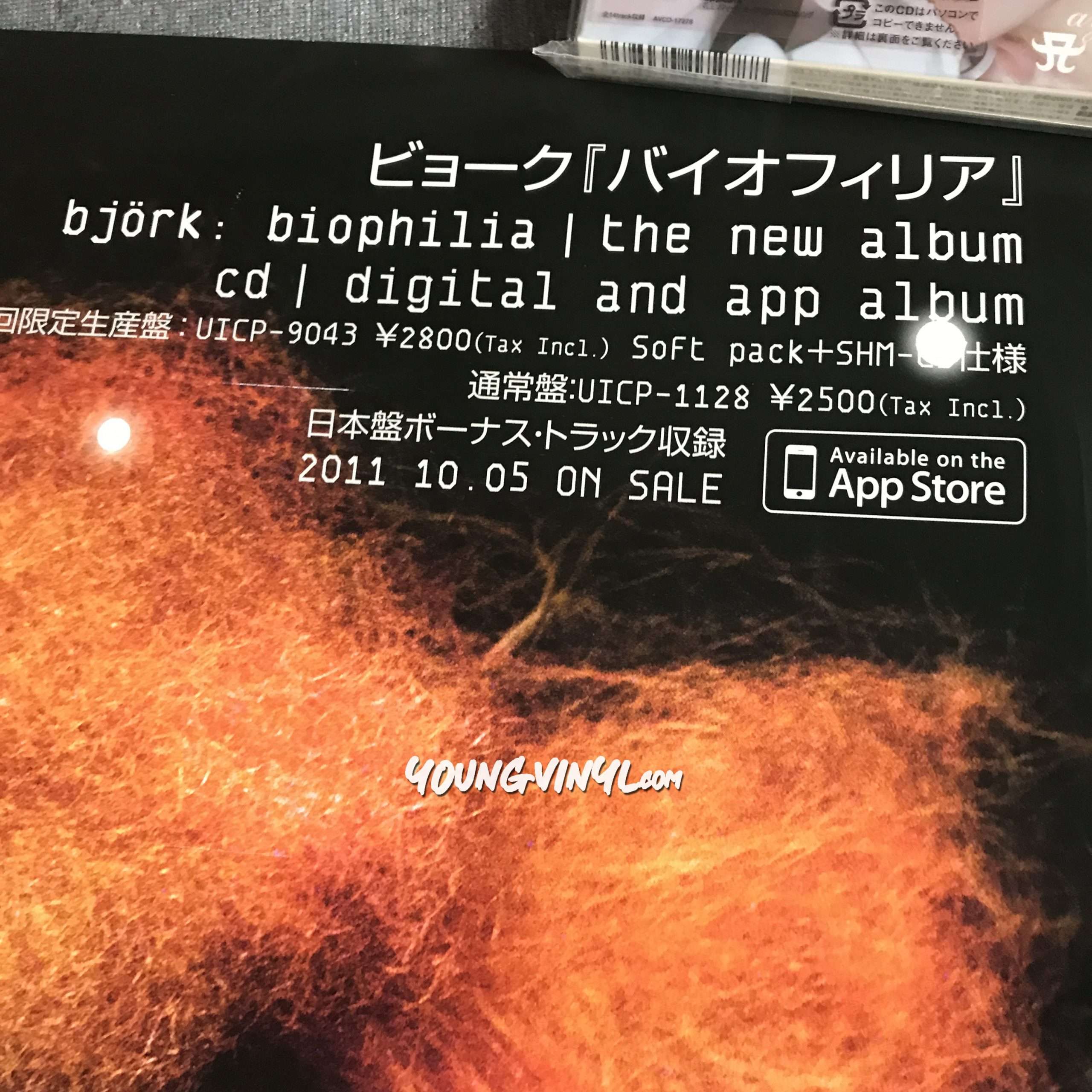 Bjork Biophilia Poster Japan Promo B2 - Young Vinyl