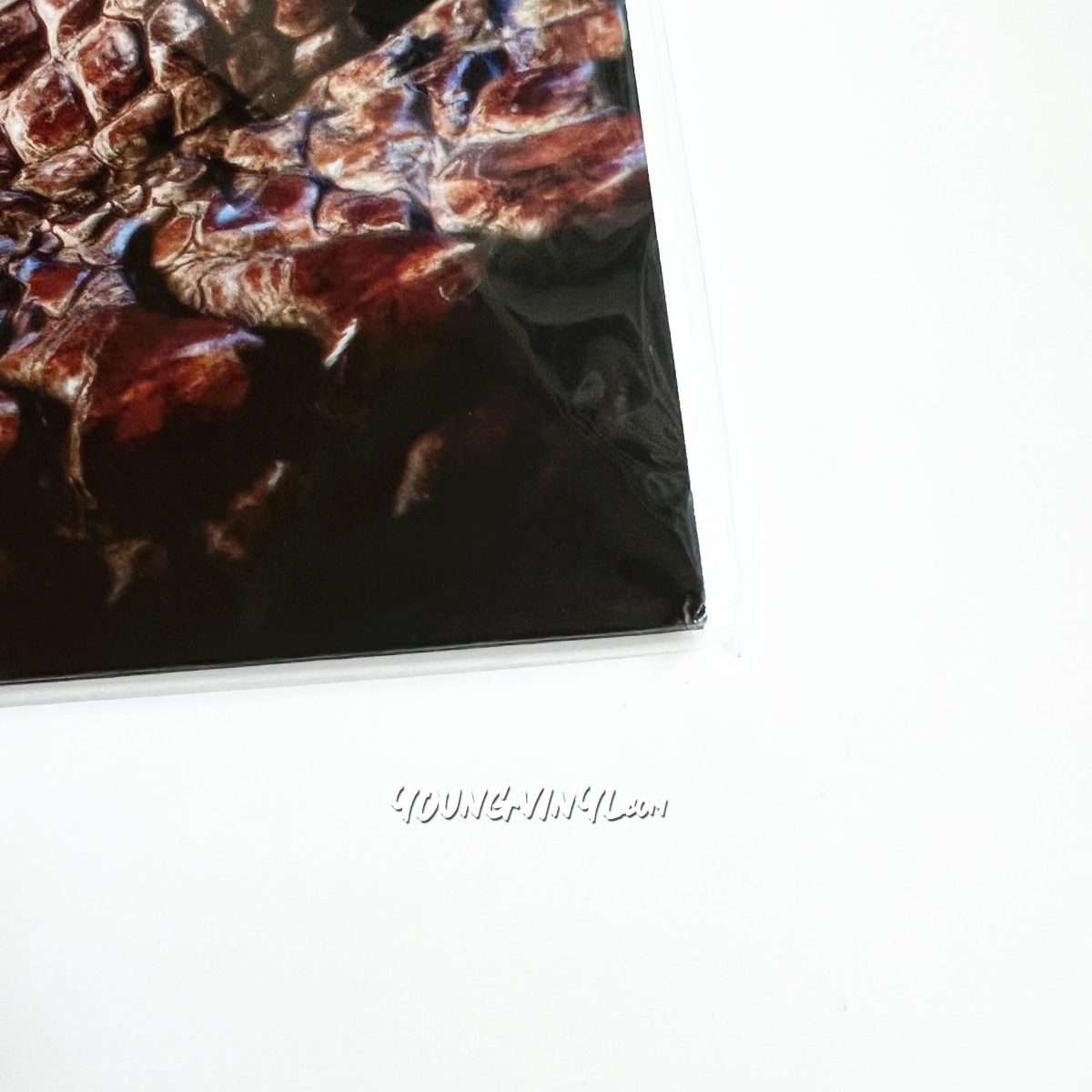 Monster Hunter 15th Anniversary Original Soundtrack Vinyl
