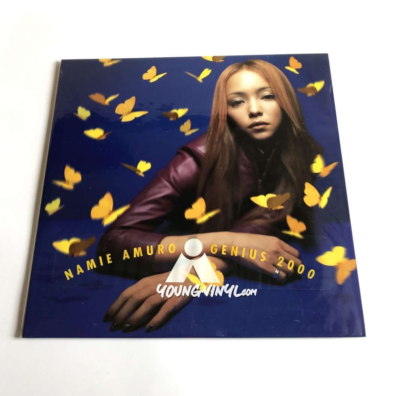 安室奈美恵 GENIUS 2000 アナログレコード2枚組 - 邦楽