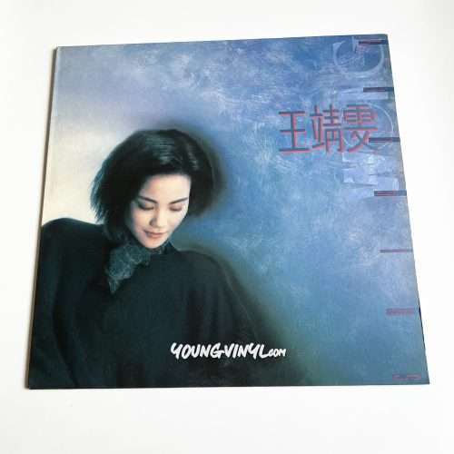 Faye Wong 王靖雯 Vinyl 王菲 Shirley Wong 1st Pressing 黑膠唱片