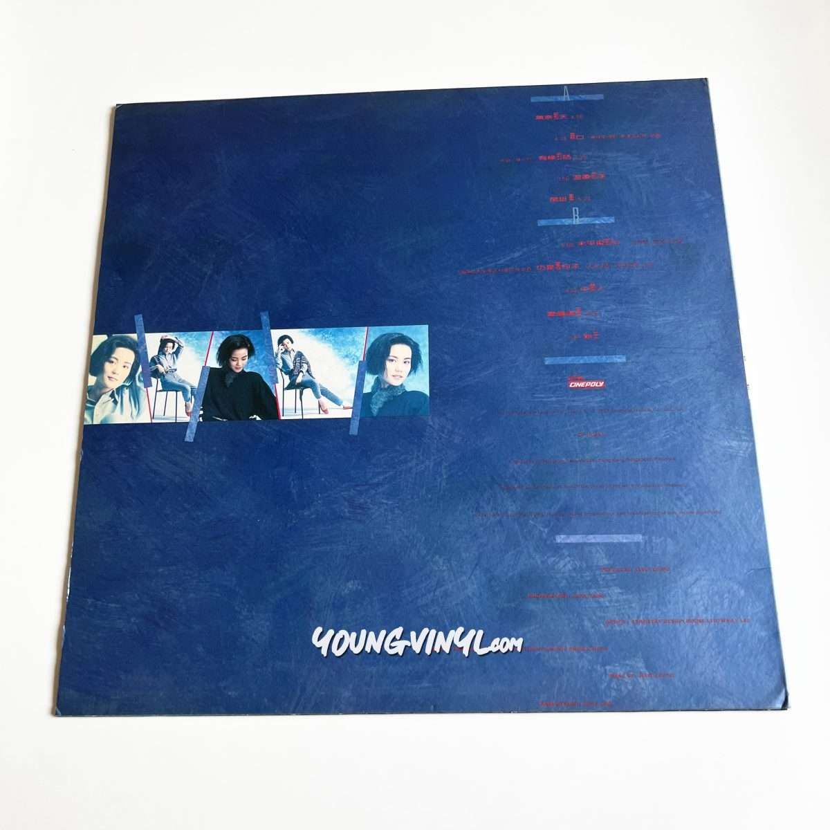 Faye Wong 王靖雯Vinyl 王菲Shirley Wong 1st Pressing 黑膠唱片