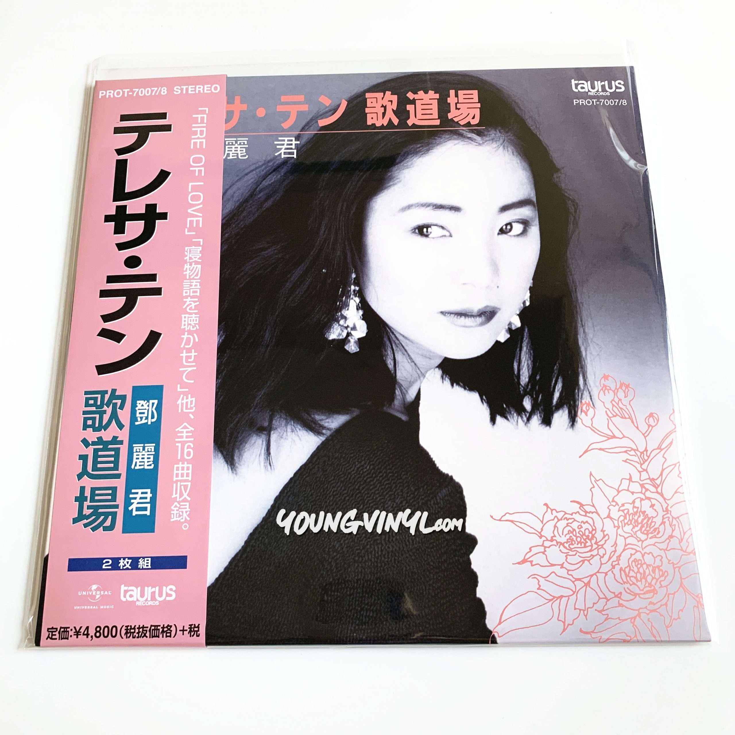 テレサ・テン TERESA TENG 鄧麗君 南遊紀念金唱片 LP 香港盤 グルー 