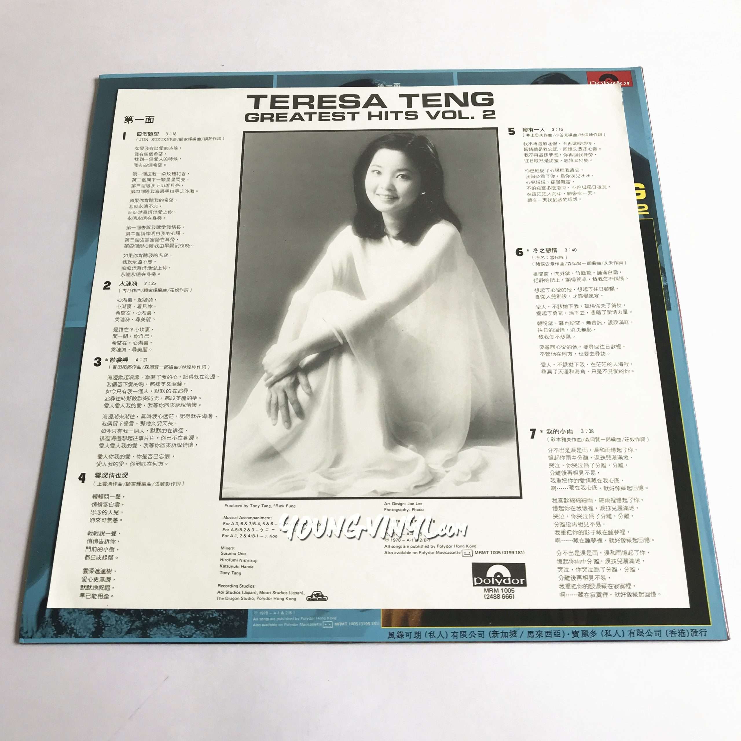 Teresa Teng Greatest Hits Vol.2 Vinyl 鄧麗君テレサ・テン黑膠唱片