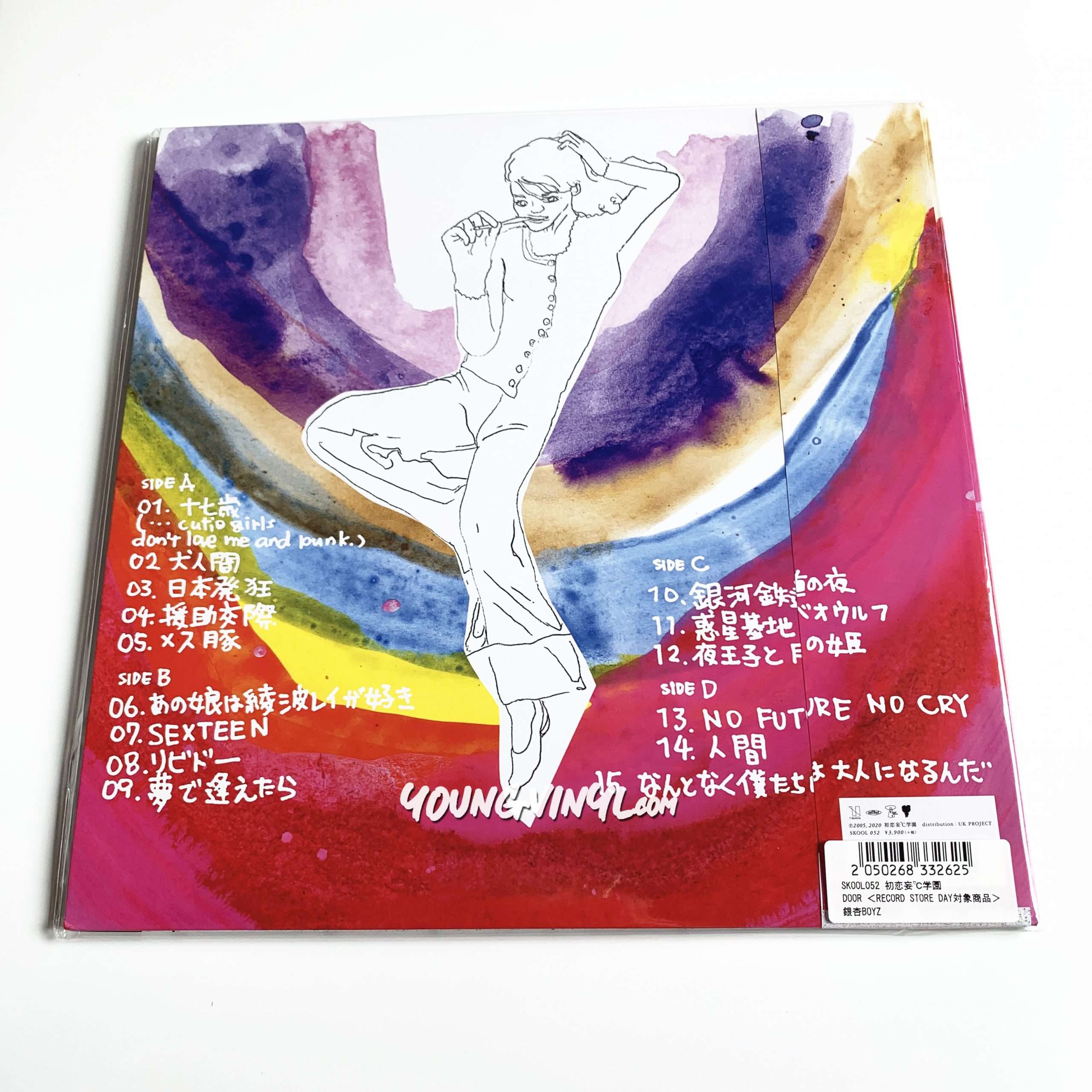 Ging Nang Boyz Door Vinyl 銀杏BOYZ - Young Vinyl