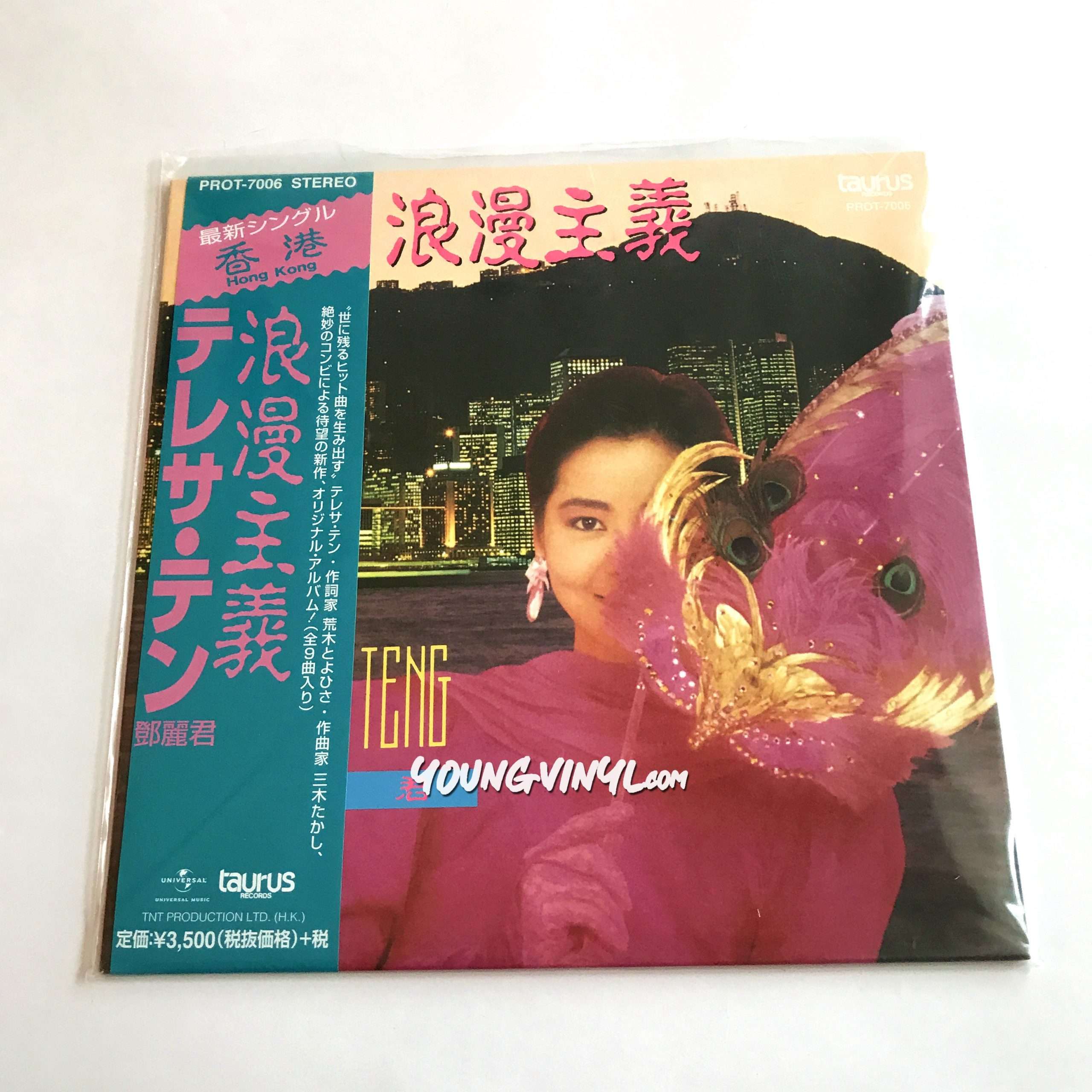 Teresa Teng 浪漫主義 Vinyl 鄧麗君 テレサ・テン 黑膠唱片 - Young Vinyl