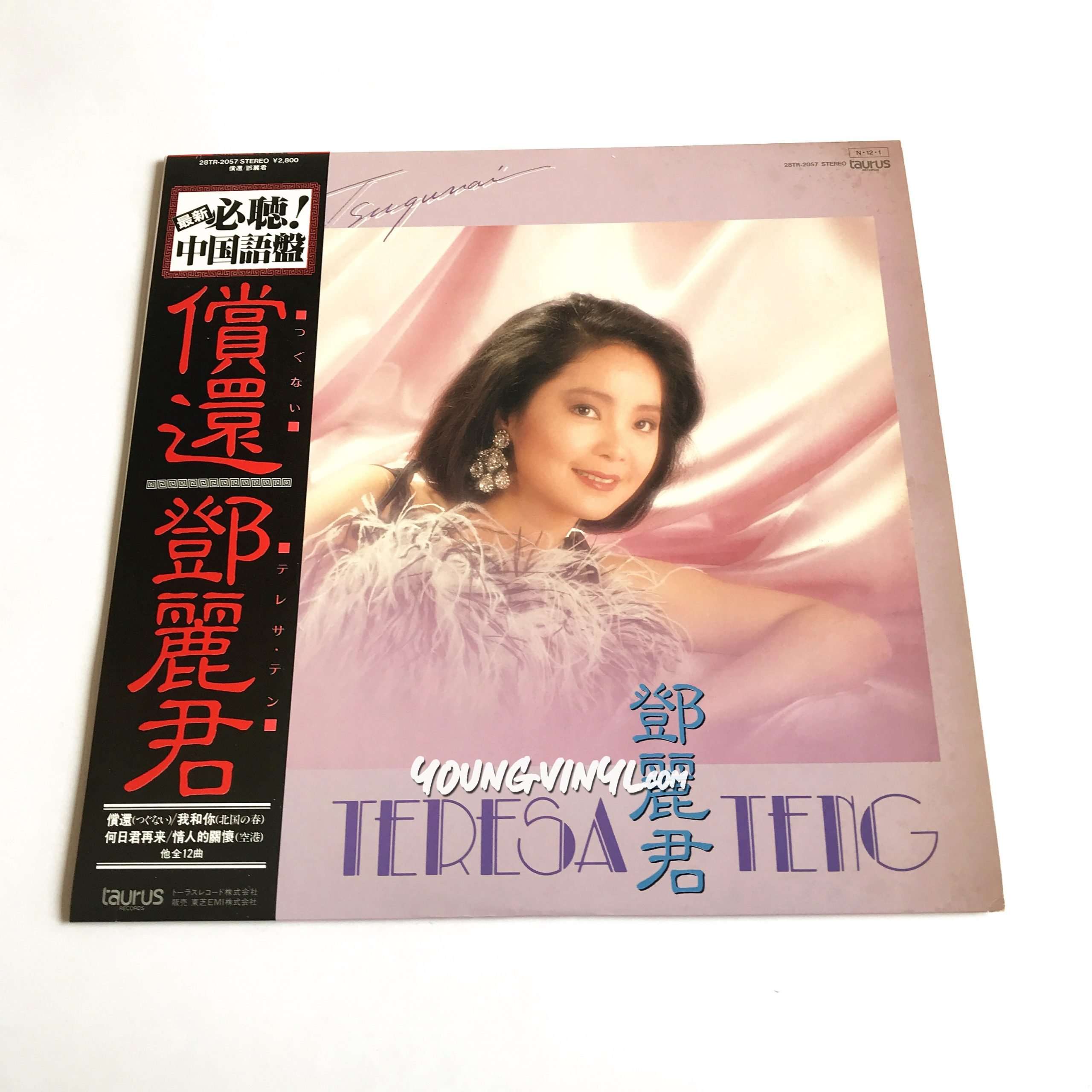 テレサ・テン 華麗なる熱唱（中国語盤）貴重LPレコード - レコード