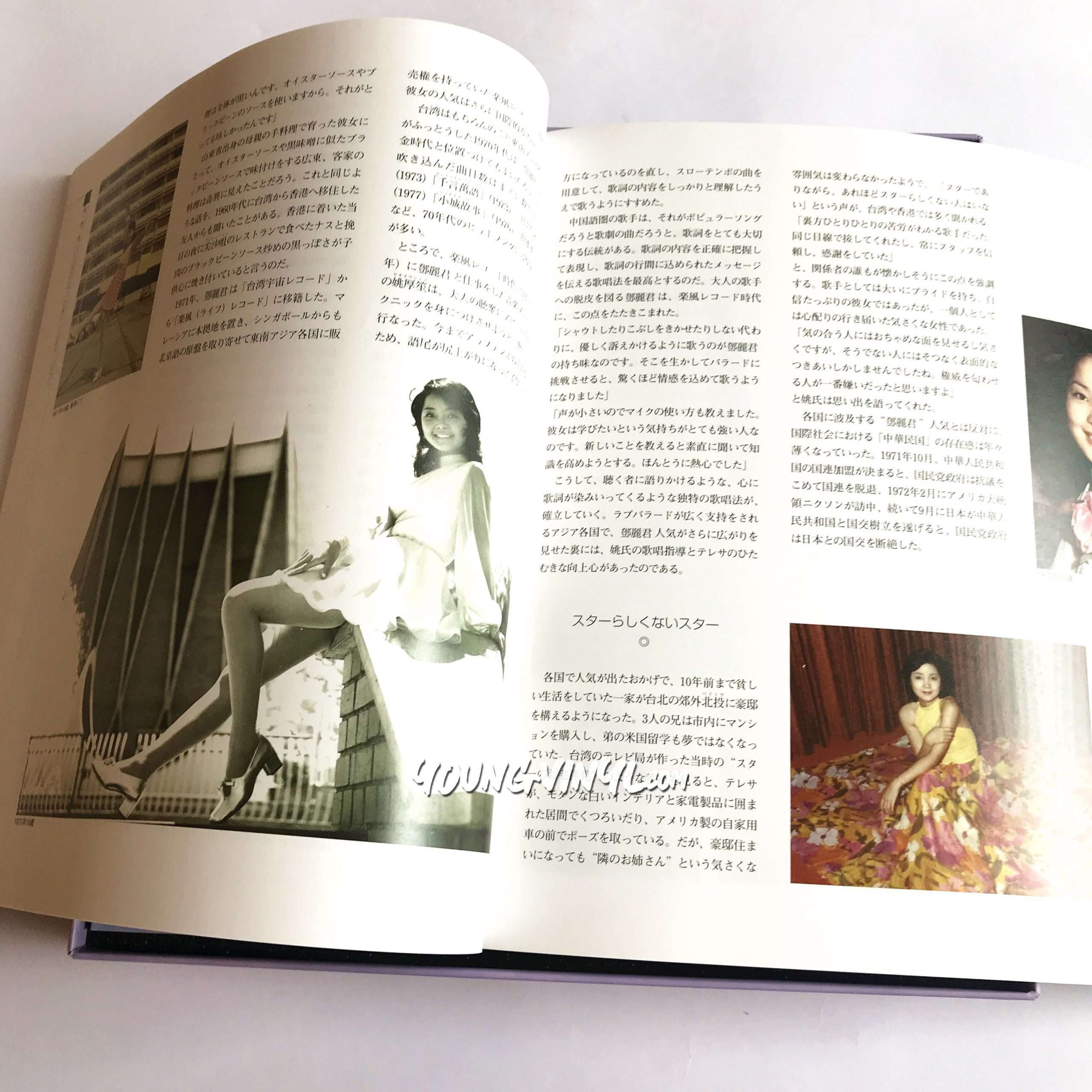 Teresa Teng 歌姫 特選テレサ・テンの世界 10 CD Box 鄧麗君 - Young Vinyl