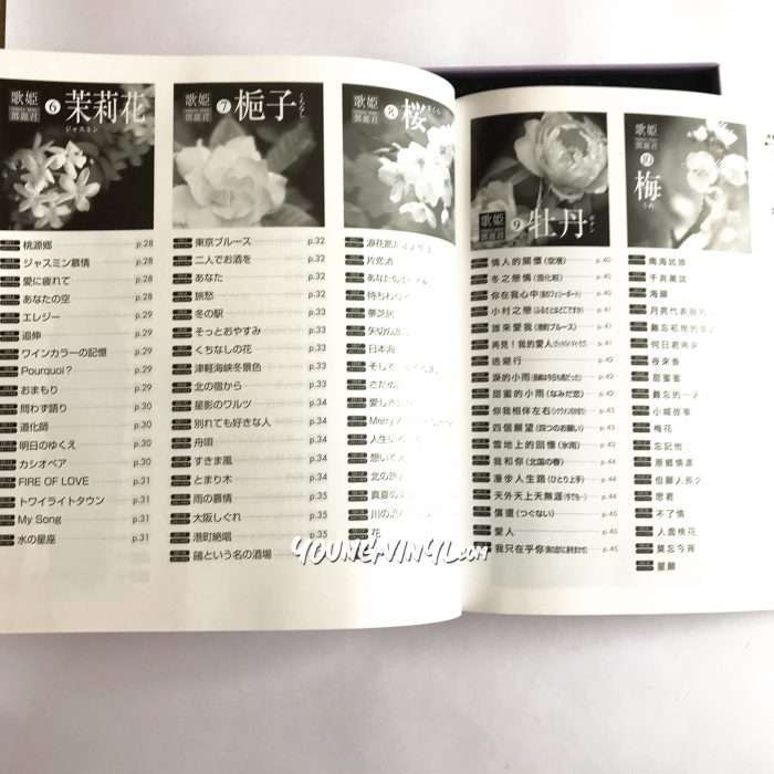 《希少レア品》《送料無料》⭐︎歌姫 〜特選テレサ・テンの世界〜 10枚BOX⭐︎