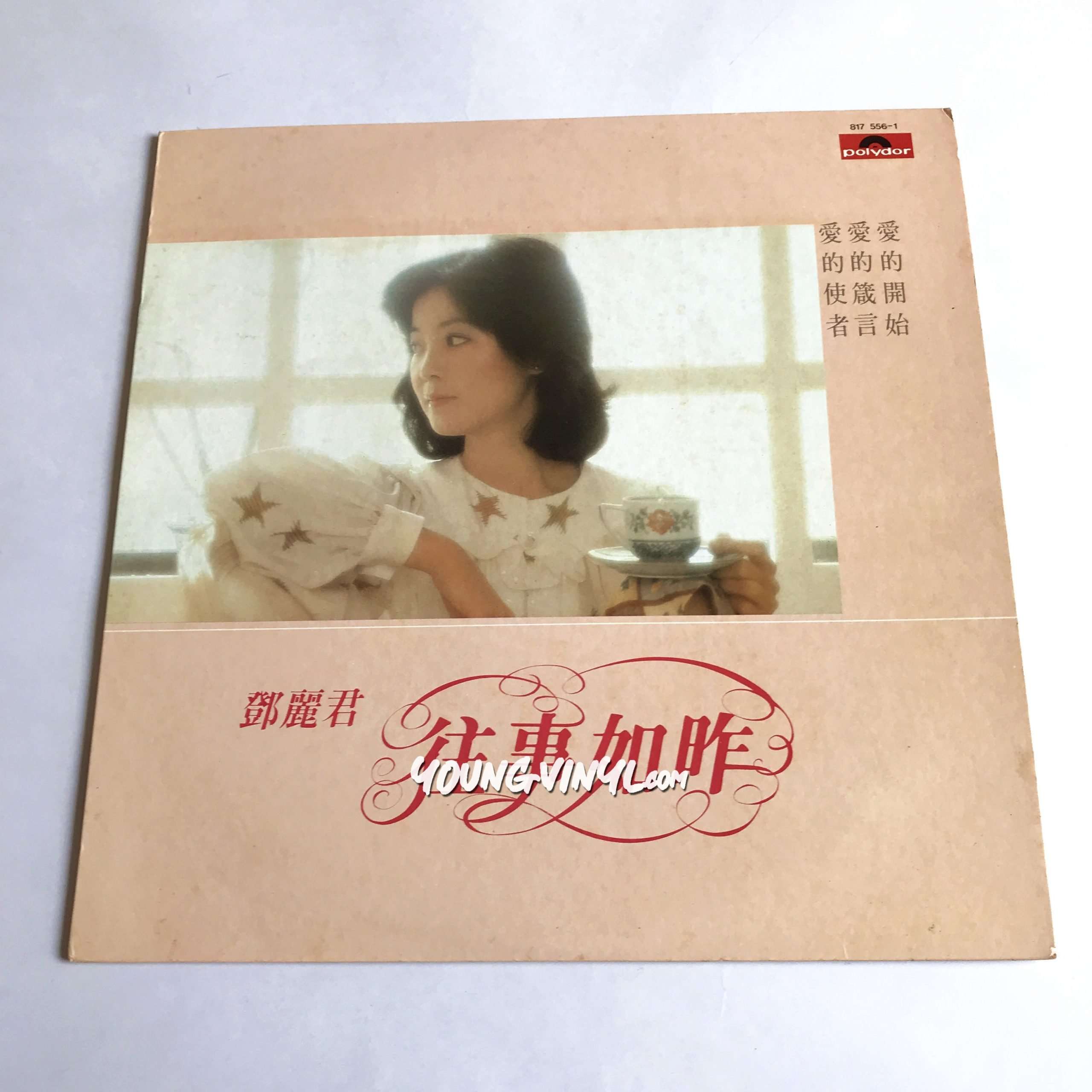 Teresa Teng 往事如昨Vinyl 鄧麗君テレサ・テン金聲黑膠唱片- Young Vinyl