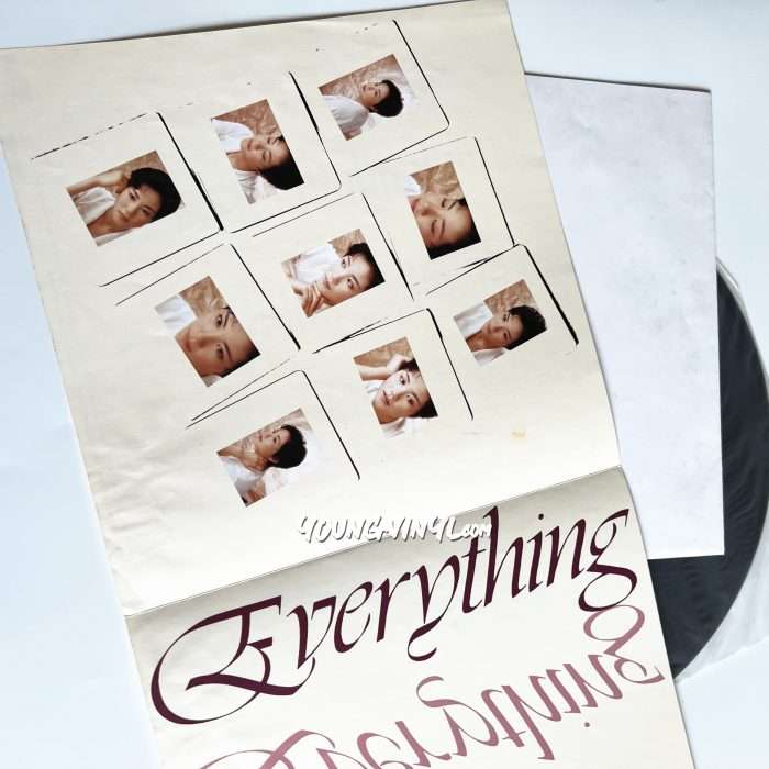 Faye Wong Everything Vinyl 王靖雯 王菲 1st Pressing 黑膠唱片