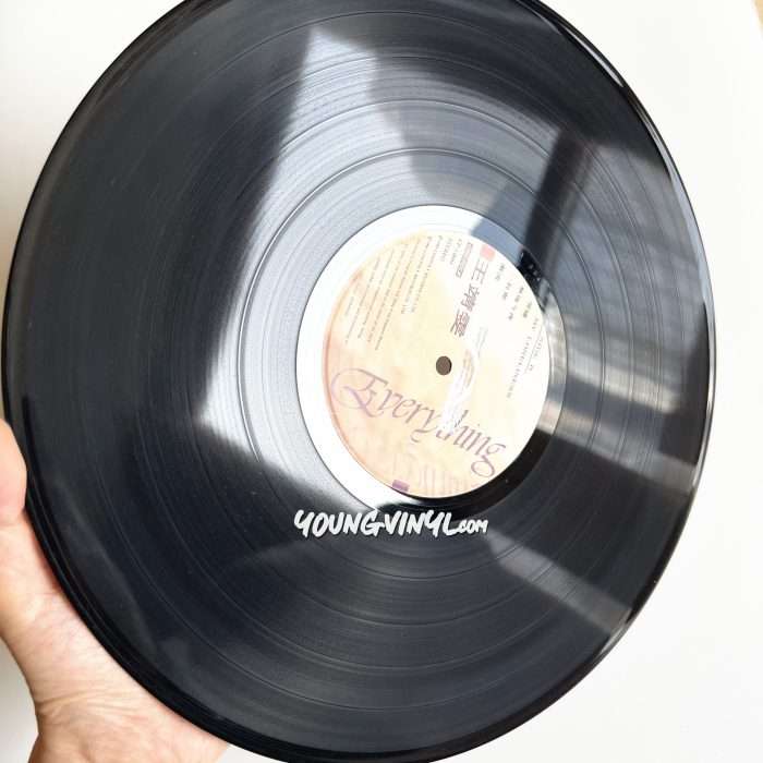 Faye Wong Everything Vinyl 王靖雯 王菲 1st Pressing 黑膠唱片