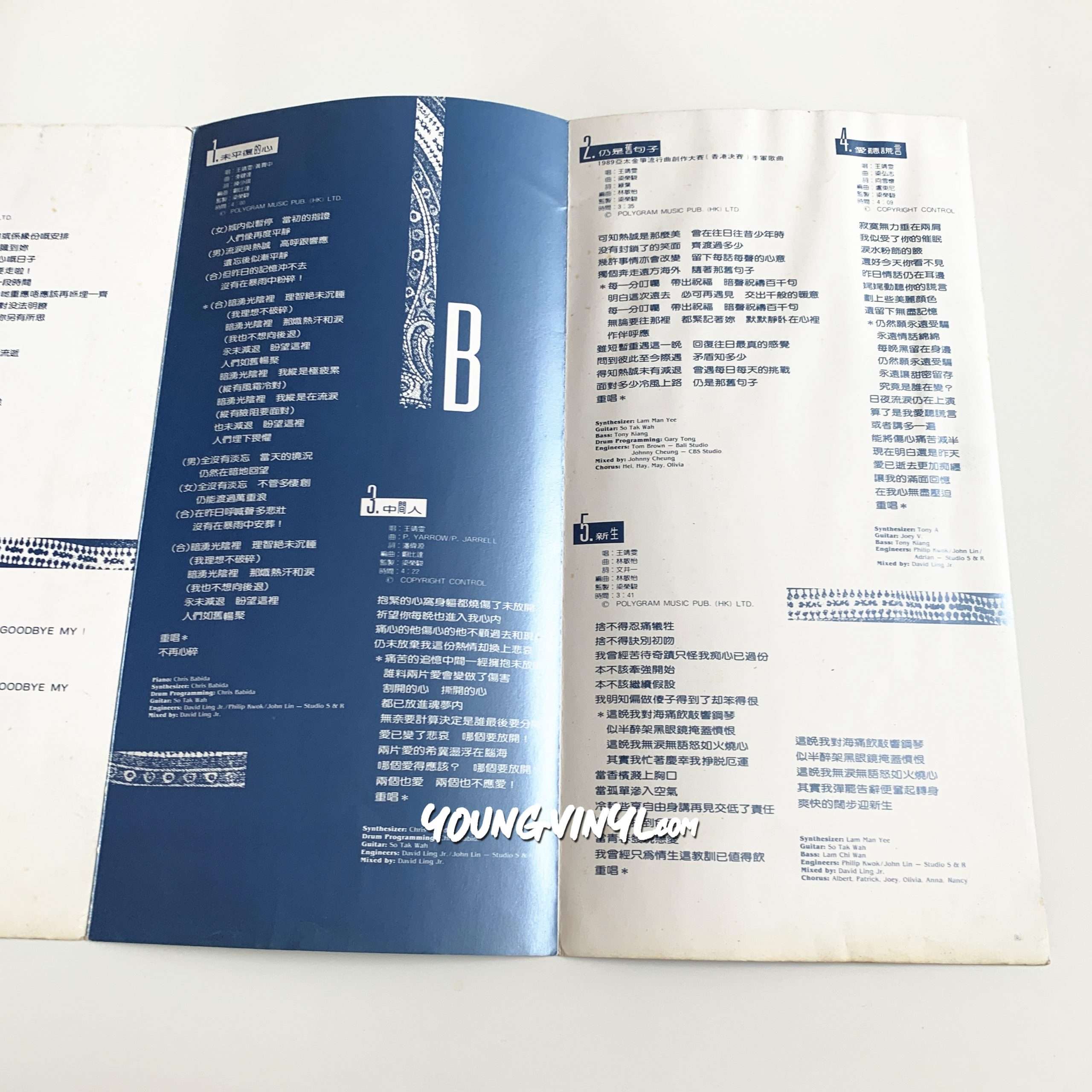 Faye Wong 王靖雯Vinyl 王菲Shirley Wong 1st Pressing 黑膠唱片