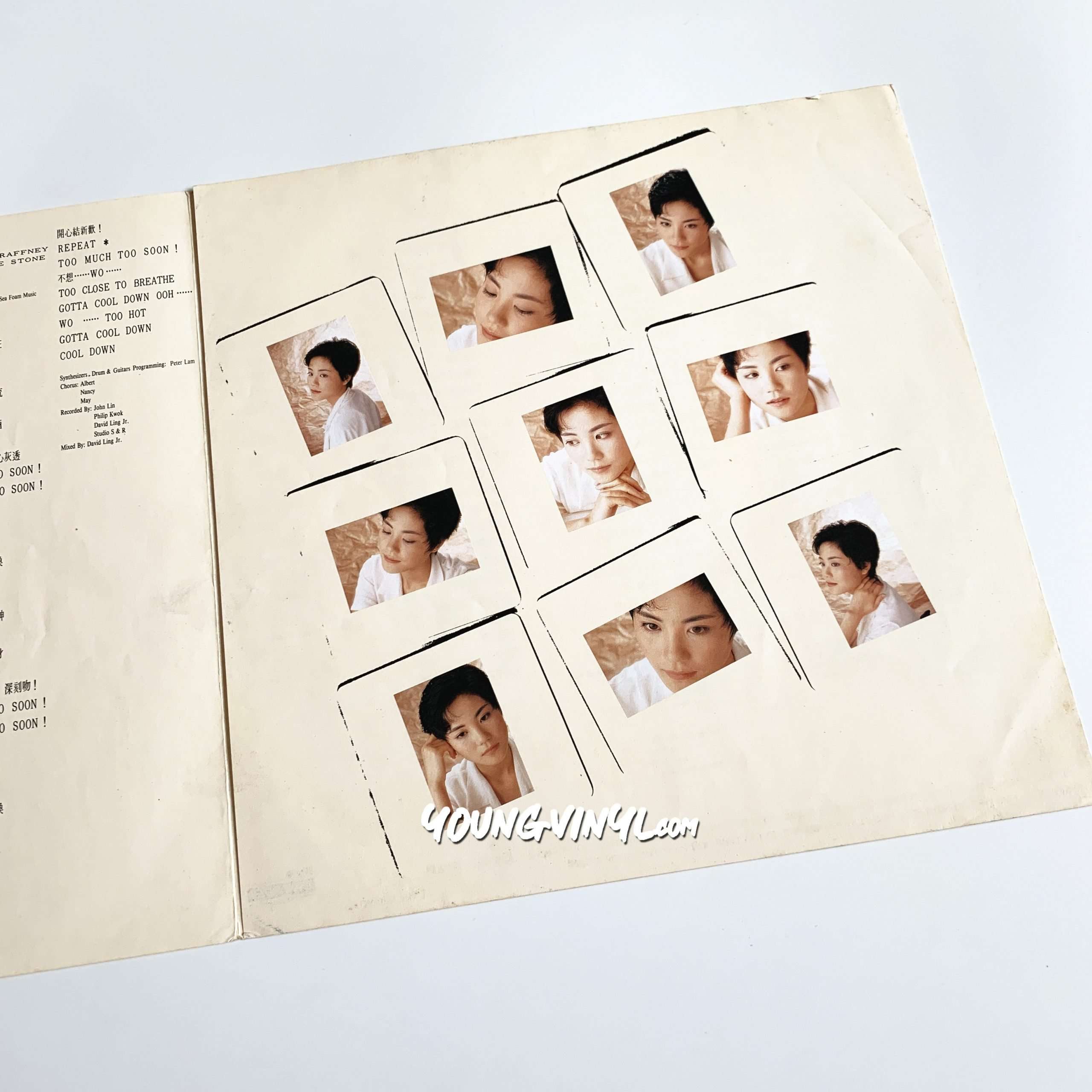 Faye Wong Everything Vinyl 王靖雯王菲1st Pressing 黑膠唱片- Young