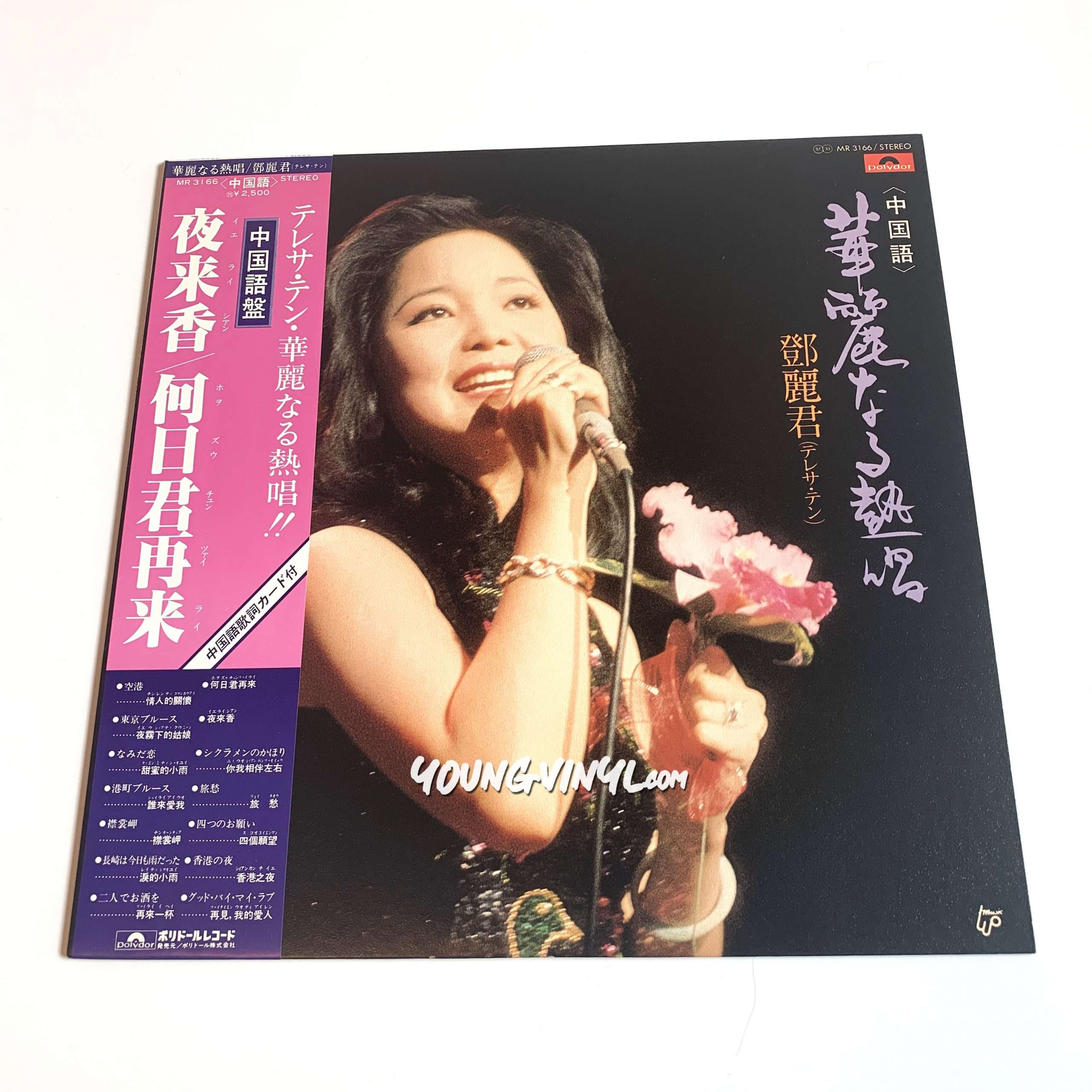 テレサ・テン 華麗なる熱唱（中国語盤）貴重LPレコード - レコード