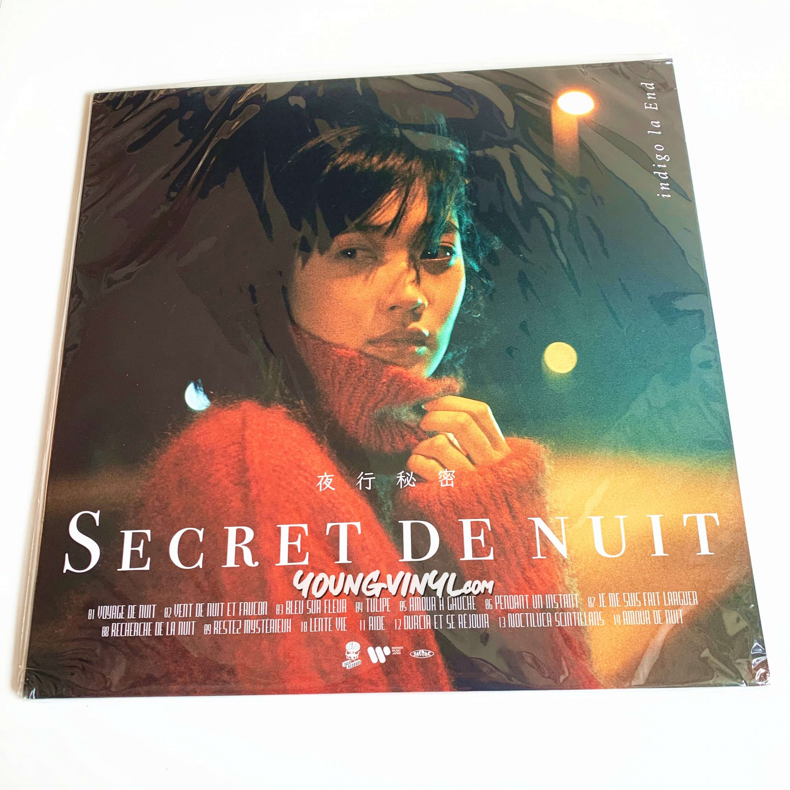Indigo La End 夜行秘密 Vinyl Secret De Nuit - Young Vinyl