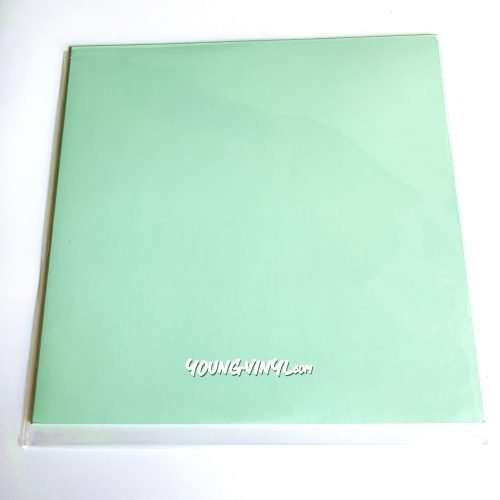 Ichiko Aoba Utabiko Vinyl 青葉市子 うたびこ