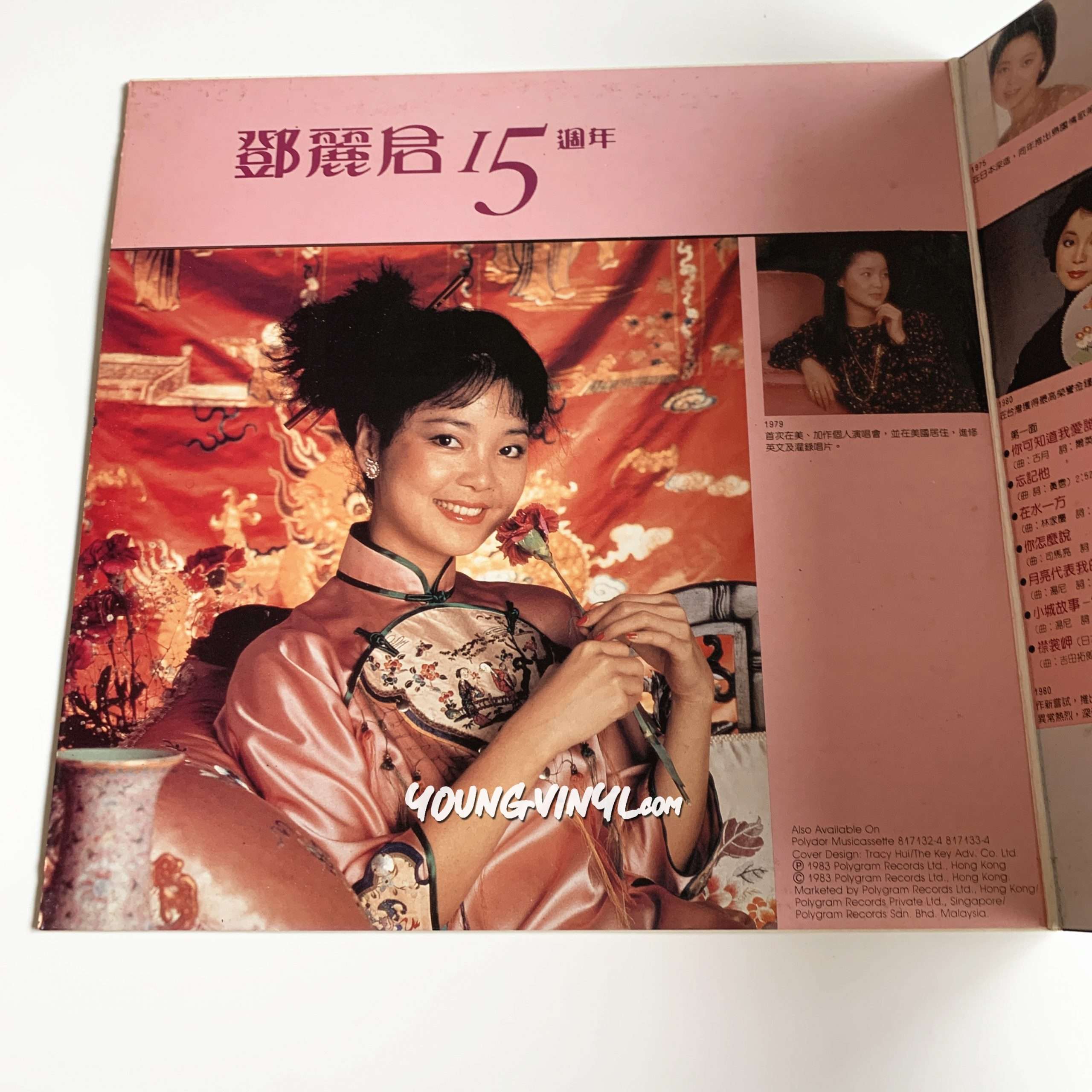 Teresa Teng 15th Anniversary Vinyl 2LP 鄧麗君15週年テレサ・テン