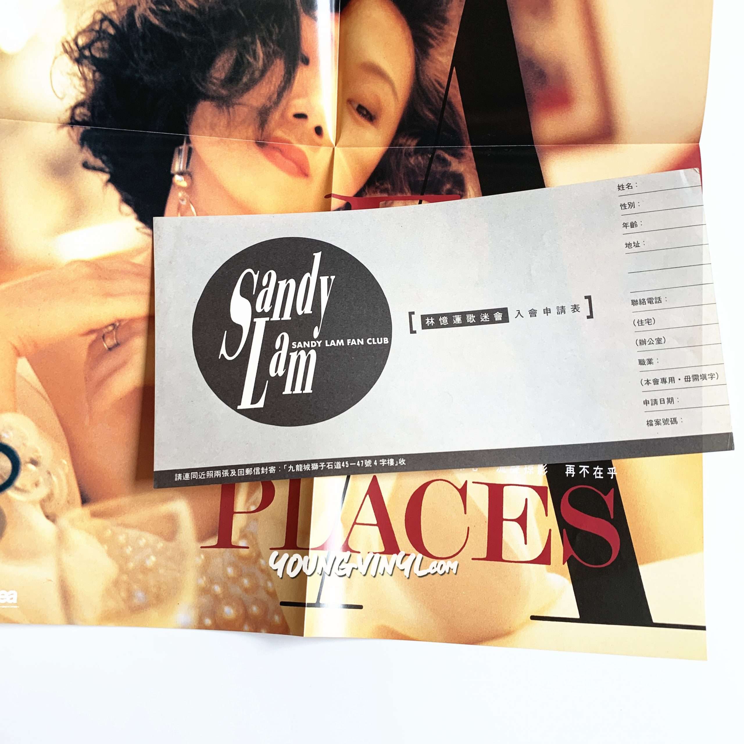 Sandy Lam 都市觸覺Part III Faces And Places Vinyl 林憶蓮黑膠唱片
