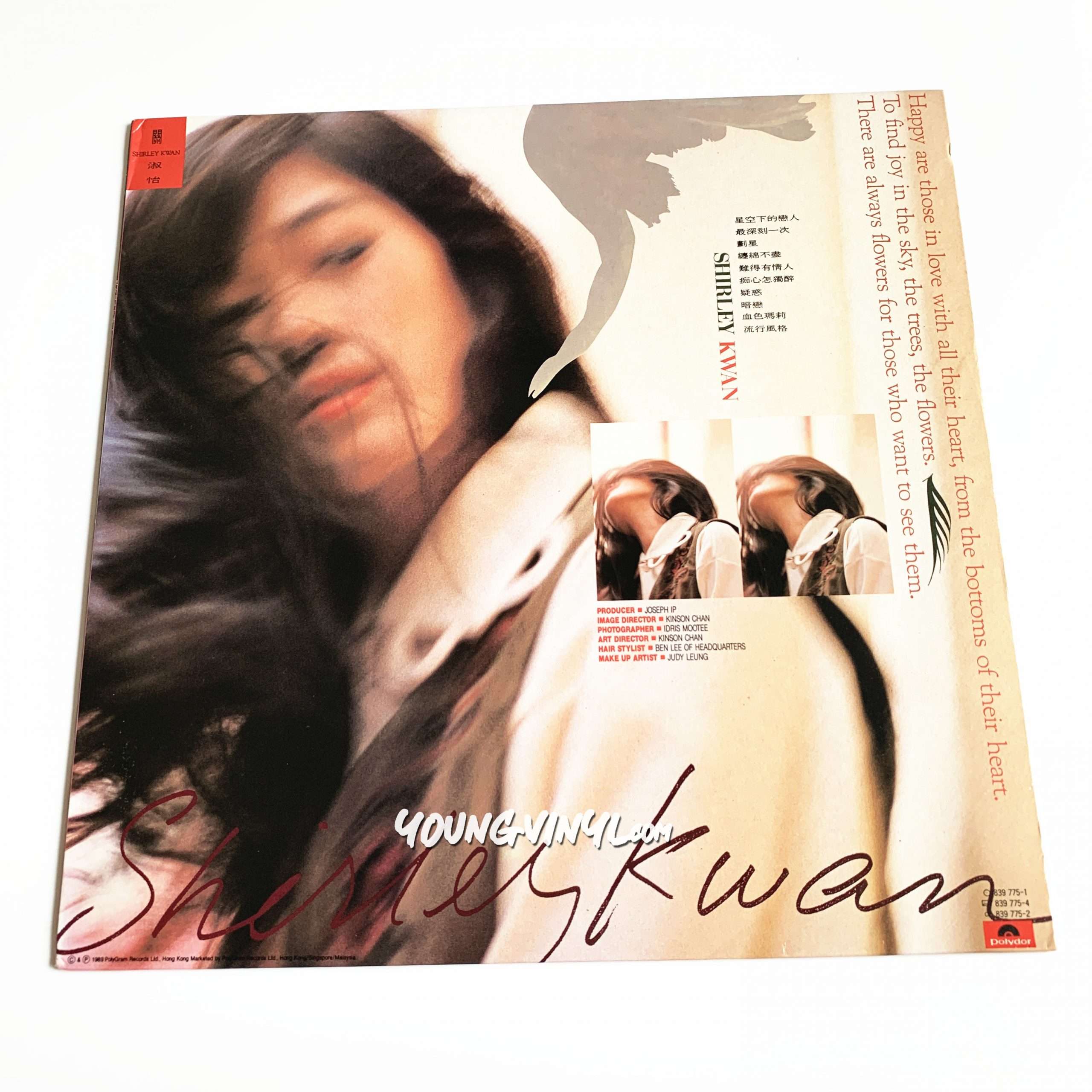 Shirley Kwan 難得有情人Vinyl 關淑怡1st Pressing - Young Vinyl