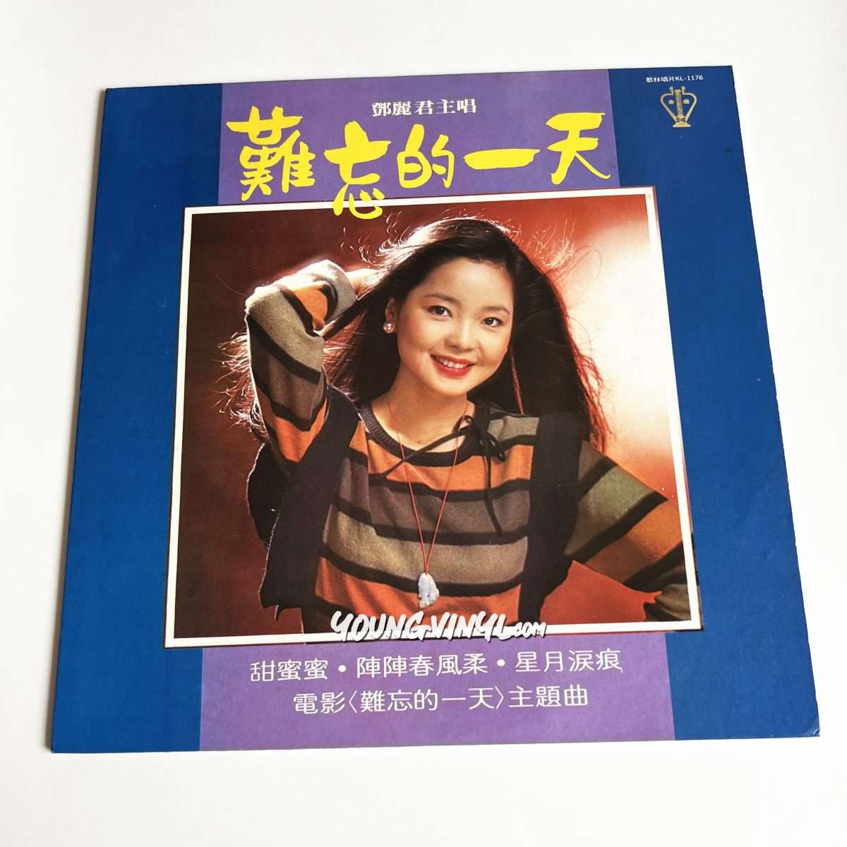 テレサ・テン TERESA TENG 鄧麗君 南遊紀念金唱片 LP 香港盤 グルー 