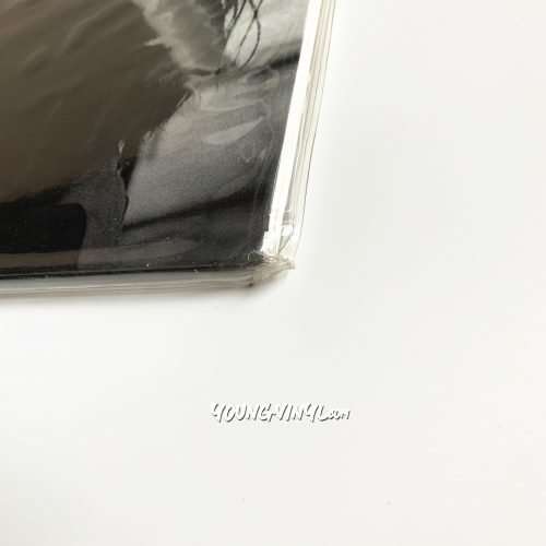 Faye Wong 執迷不悔 Vinyl 王靖雯 王菲 Limited Numbered
