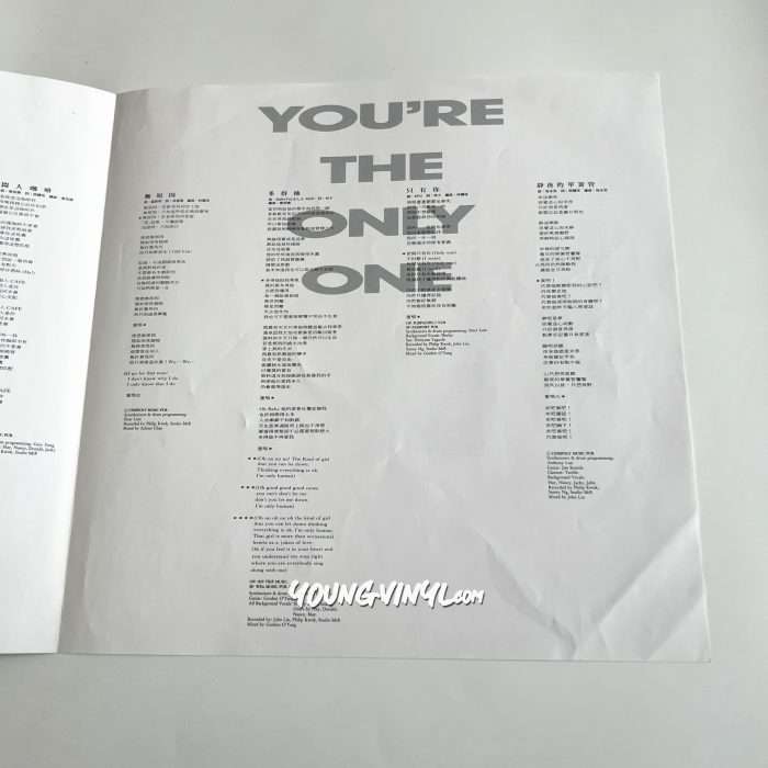 Faye Wong 王靖雯 Vinyl 王菲 You're The Only One 1st Pressing 黑膠唱片